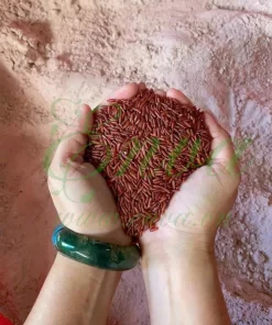 sản phẩm giảm cân hiệu quả, giảm cân, viên uống giảm cân, giữ dáng, bí quyết giảm cân nhanh, sản phẩm chống thèm ăn, enva, enva.vn, bí quyết duy trì cân nặng, giảm cân nhanh, giảm cân an toàn, bí quyết giảm cân nhanh, giảm cân tự nhiên, bột gạo lứt, bột gạo lứt giảm cân, bột gạo lứt giảm cân enva 1