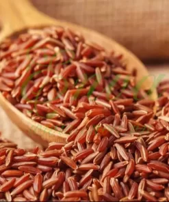 sản phẩm giảm cân hiệu quả, giảm cân, viên uống giảm cân, giữ dáng, bí quyết giảm cân nhanh, sản phẩm chống thèm ăn, enva, enva.vn, bí quyết duy trì cân nặng, giảm cân nhanh, giảm cân an toàn, bí quyết giảm cân nhanh, giảm cân tự nhiên, bột gạo lứt, bột gạo lứt giảm cân, bột gạo lứt giảm cân enva 5